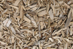 biomass boilers Tarrant Monkton
